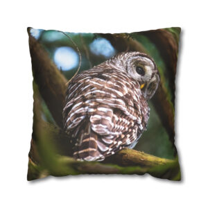 Owl Pillow